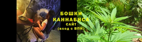 индика Переславль-Залесский