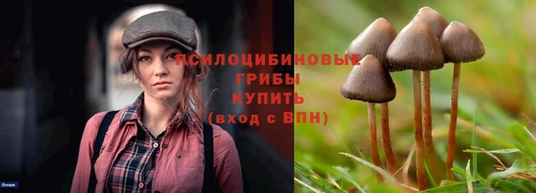стафф Пестово