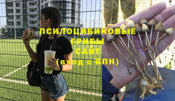 прущая мука Баксан